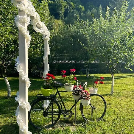 Cabană Briana