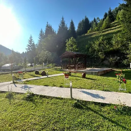 Briana Borsa (Maramures)