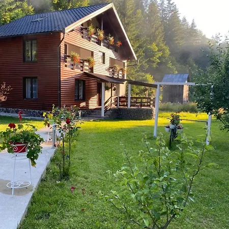 Lodge Briana Borsa (Maramures)