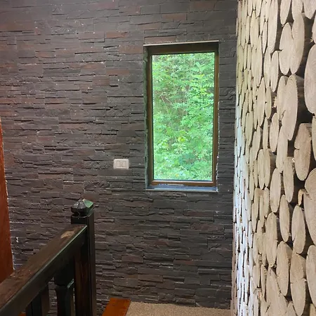 Briana * Borşa