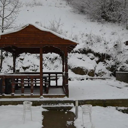 Briana Borsa (Maramures)